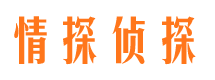 喜德市调查公司